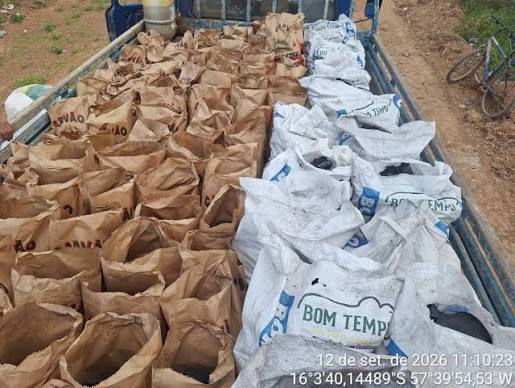 Ambiental apreende mais de uma tonelada de carv&atilde;o vegetal armazenado ilegalmente | Gazeta Digital