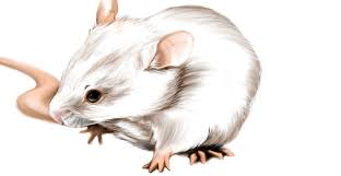 Check spelling or type a new query. Overcoming Adversity Mrs Wilcoxson