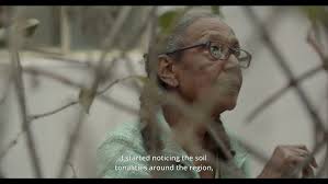 VIRGÍNIA ROSA || Um Ser De Luz (ao vivo)