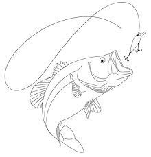 Sketch in the side, upper, and lower fins. Drawing Of A Largemouth Bass On Behance