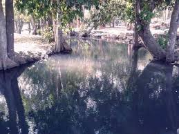 Air yang mengalir di air terjun ini cukup keruh jika dilihat dari dekat dengan warnanya yang kecoklatan. Tempat Menarik Di Perlis Percutian Bajet