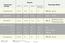 vasopressors inotropes the medications codehealth