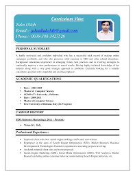 Pick two columns to save space or a single column layout for a traditional application. Curriculum Vitae Sample