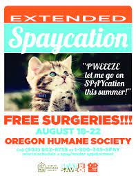 It S Kitten Season Extended Spaycation At Ohs Get Cats Kittens Fixed For Free Spay Neuter Cats Kittens Kitten Season Animal Shelter Animal Rescue