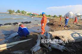 Itulah yang mampu kita ucapkan pabila melihat keindahan alam yang terbentang luas. Ceceran Hitam Minyak Mentah Ditemukan Di Pantai Balongan Republika Online