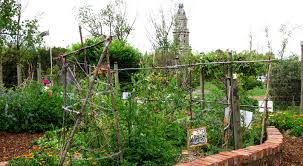 Последние твиты от collingwood college (@collingwooddu). Kitchen Garden