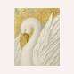 Swan with Gold Leaf  @ Piccolino, Knutsford event image