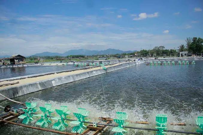 Những địa hình phù hợp nhất để phát triển nuôi trồng thủy sản