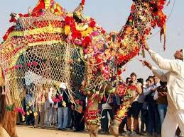 It is celebrated every year in the month the yearly festival is being dedicated to the animals surviving in tough desert conditions. Camel Festival Bikaner 2018 à¤Š à¤Ÿ à¤® à¤² à¤¬ à¤• à¤¨ à¤° 2018 Hindi Nativeplanet