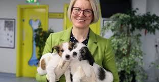 Animalssale found 161 dogs & puppies for sale in mississippi, which meet your criteria. Lockdown Demand Sees Puppy Prices Soar Says Charity
