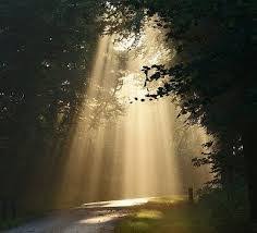 A PERFECT PERPETUITY - www.warriorservants4god.org