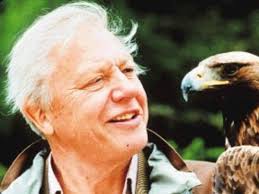 Naturalista inglés gana el Príncipe de Asturias