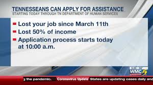 1 br · office · memphis, tn. Tennesseans Can Apply For Financial Assistance During Covid 19 Pandemic