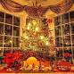 El Faro Christmas Recital & Dinner event image