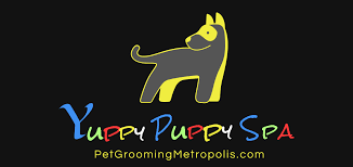 20 reviews of puppy love pet grooming i have been disappointed on countless occasion when it comes to finding a dog groomer who will follow directions and does a decent job. Book Menu Dog Grooming Markham Yuppy Puppy Spa Puppy Groom