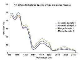 near infrared spectroscopy probes food freshness features