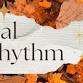 Ritual & Rhythm✨️ event image