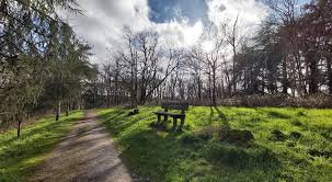 Informacie saint laurent sur sevre. Bienvenue Sur Le Site De Saint Laurent Mairie De Saint Laurent Sur Sevre