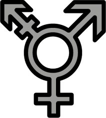 There are many variations of the transgender flag, and many more have been created throughout the years. Transgender Symbol Emoji Download For Free Iconduck