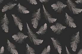 Butterfly Black And White Background Tumblr Google Search