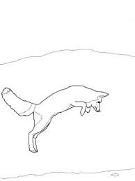 Arctic Fox Jump Coloring Page Super Coloring Arctic Fox Fox Jumping Fox