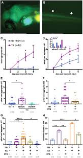 Maybe you would like to learn more about one of these? Seizures Are A Druggable Mechanistic Link Between Tbi And Subsequent Tauopathy Biorxiv