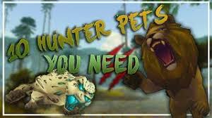 The list is ordered alphabetically by the pets name. 10 Rare Hunter Pets You Need Youtube