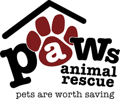 Welcome to four paws pet adoptions, the upper valley's private pet adoption agency. Pets For Adoption At Paws Rescue In Swartz Creek Mi Petfinder