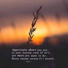 Inspirational Positive Quotes Appreciate Where You Are In Your Journey Quotes For Book Lovers Positive Quotes Lovely Quote