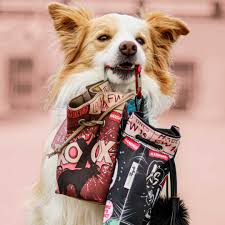 Looking for the best wallpapers? Dogs Angels Artisan Accessories For Dogs And Anyone To Love So
