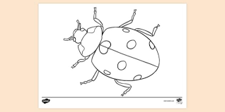 In the internationally acclaimed the very hungry caterpillar, a tiny caterpillar eats and eats…and eats his way through the week. Free Ladybird Colouring Sheet Primary School Twinkl
