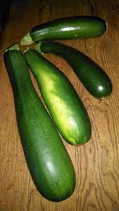 How can you tell if zucchini is ripe? Zucchini Waxing Adventures In The Good Life