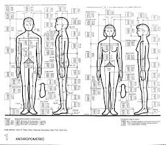 Anthropometric Data For Coffee Tables View Here Coffee