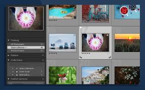 Check spelling or type a new query. Overview Of Lightroom Classic Opplaeringsmateriale For Adobe Photoshop Lightroom