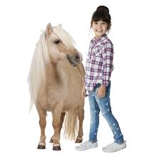 We are a reliable and friendly service that will give you an amazing animal experience. Honey Hill Farm Mobile Petting Zoos And Pony Rides