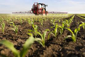 Crop fertilizer prices to remain high, report says | World Grain