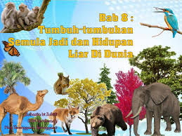 Hutan daun luruh pada musim luruh. Geografi Tingkatan 3 Sulaiman Bin Laide Moe Flip Pdf Anyflip