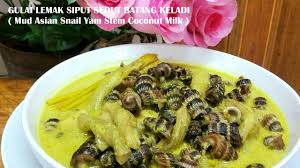 Bersihkan siput sedut dengan menggunakan berus hingga bersih rendam sebentar di dalam air garam untuk membuang kotoran. Mesti Cuba Resepi Lazat Gulai Lemak Siput Sedut Batang Keladi Mud Asian Snail Chef Alexiswandy Youtube