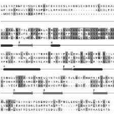 Perechea de regi ep 1. Pdf Adenylate Cyclases Involvement In Pathogenicity A Minireview
