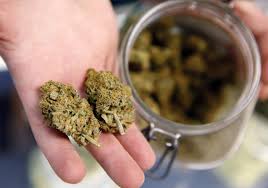 Skip the dispensary? Vancouver company offers illegal marijuana delivery  service - BC | Globalnews.ca
