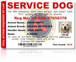 To apply for a license or permit, you must complete and submit an application with the community development department either in person or by mail. Us Service Animal Registrar Service Dog Registration Certification