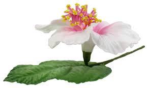 Herbs 21 hessian 1 hessian accessories 1 heuchera 1 hibiscus 4 hibiscus flowers 3 holly 12 holly. Artificial Hibiscus Foam Flower Corsage Small Bouquet Tropicazona