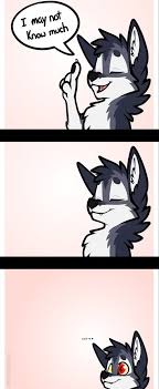 Pin By Rioke On Furry Memes In 2020 Furry Art Anthro Furry Furry Drawing
