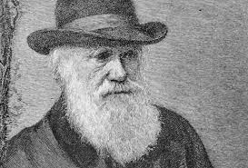 Features Did Darwin get it wrong? by Carolyn Moynihan