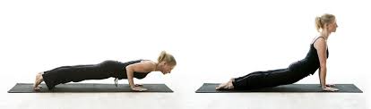 Vinyasa Flow Transitions And How To Safely Navigate Them Ekhart Yoga