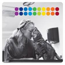 #de kat #the cat #dutch #comic #masked women #superhero #superheroine #martin lodewijk #art. Vaccinatie Bij De Kat Artemis Dierenartsen Mechelenartemis Dierenartsen Mechelen