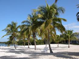 Image result for Florida