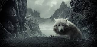 Simply choose a wallpaper that you like, then download the wallpaper and then use it as your background or screensaver. Wolf Wallpapers Hd 4k Wolf Backgrounds On Windows Pc Download Free 1 0 3 Muda Com Best Top Hd Wolfwallpapers