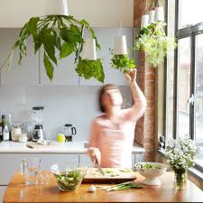 50 unique pots & planters you can buy