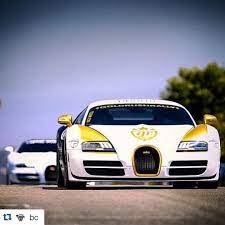 instagram photo by goldrush rally apr 30 2016 at 5 41am utc instagram instagram posts golden panda